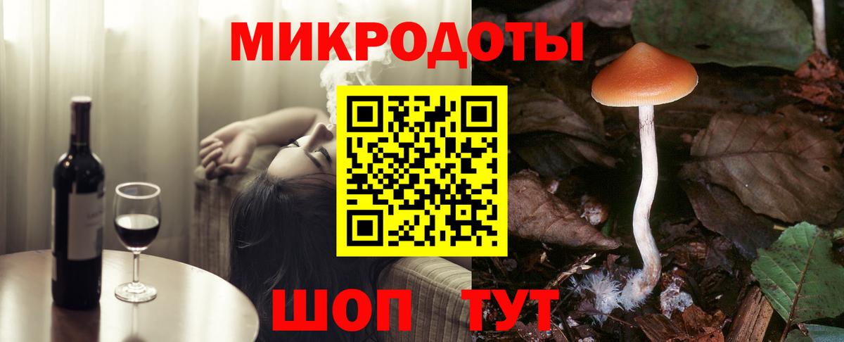 Псилоцибиновые грибы мицелий Фурманов